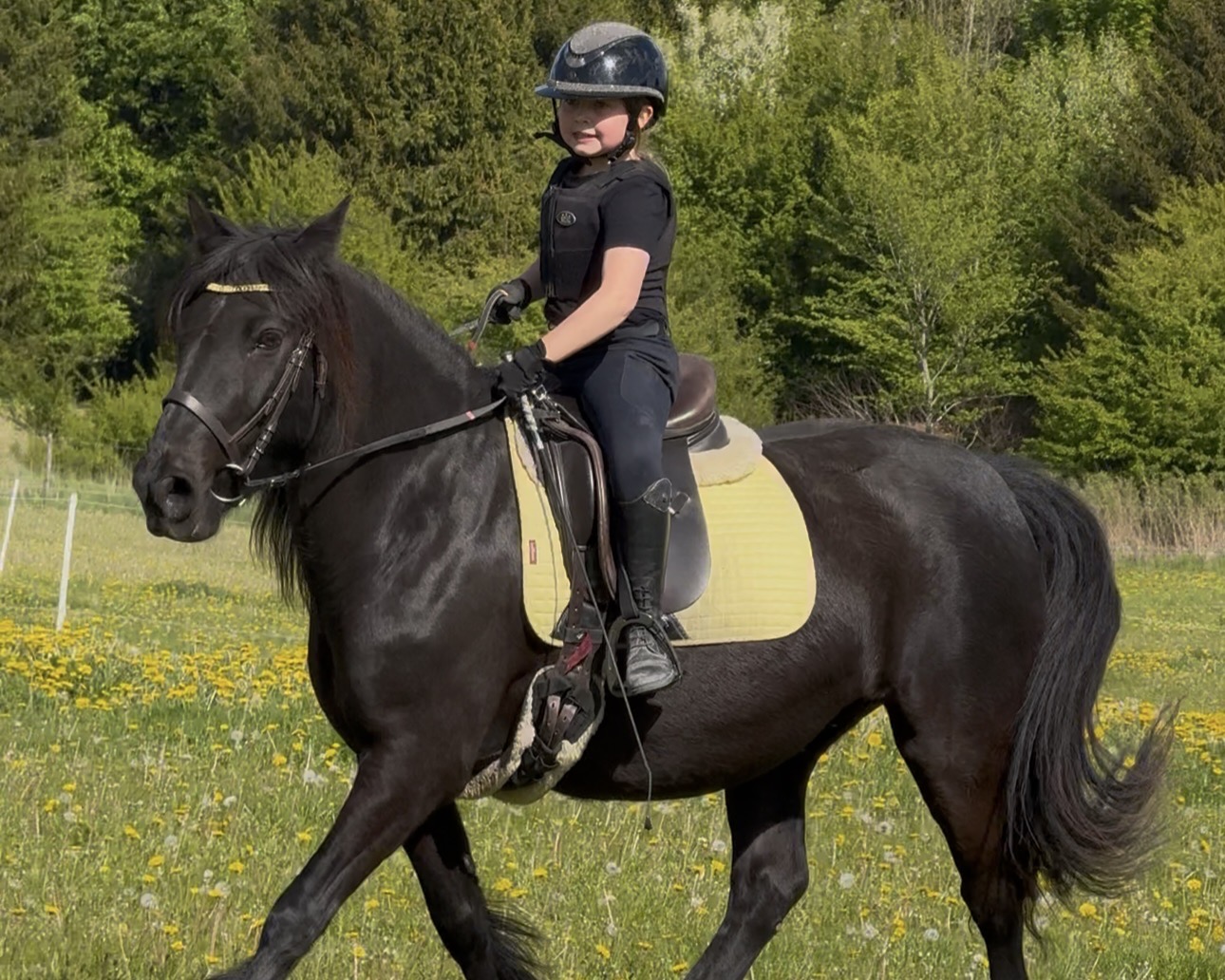 Coco og Hailey til springundervisning 2026
