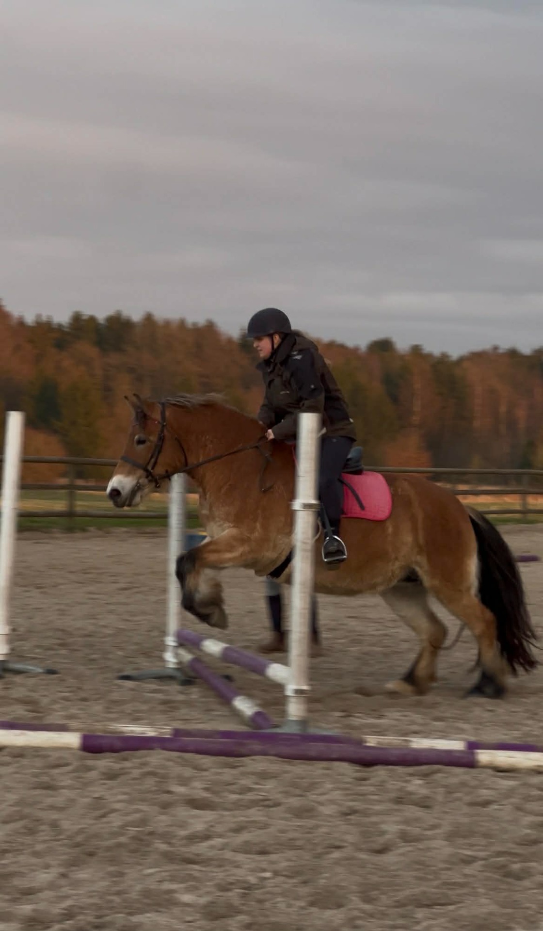 Ellie og Vera til springundervisning 2026