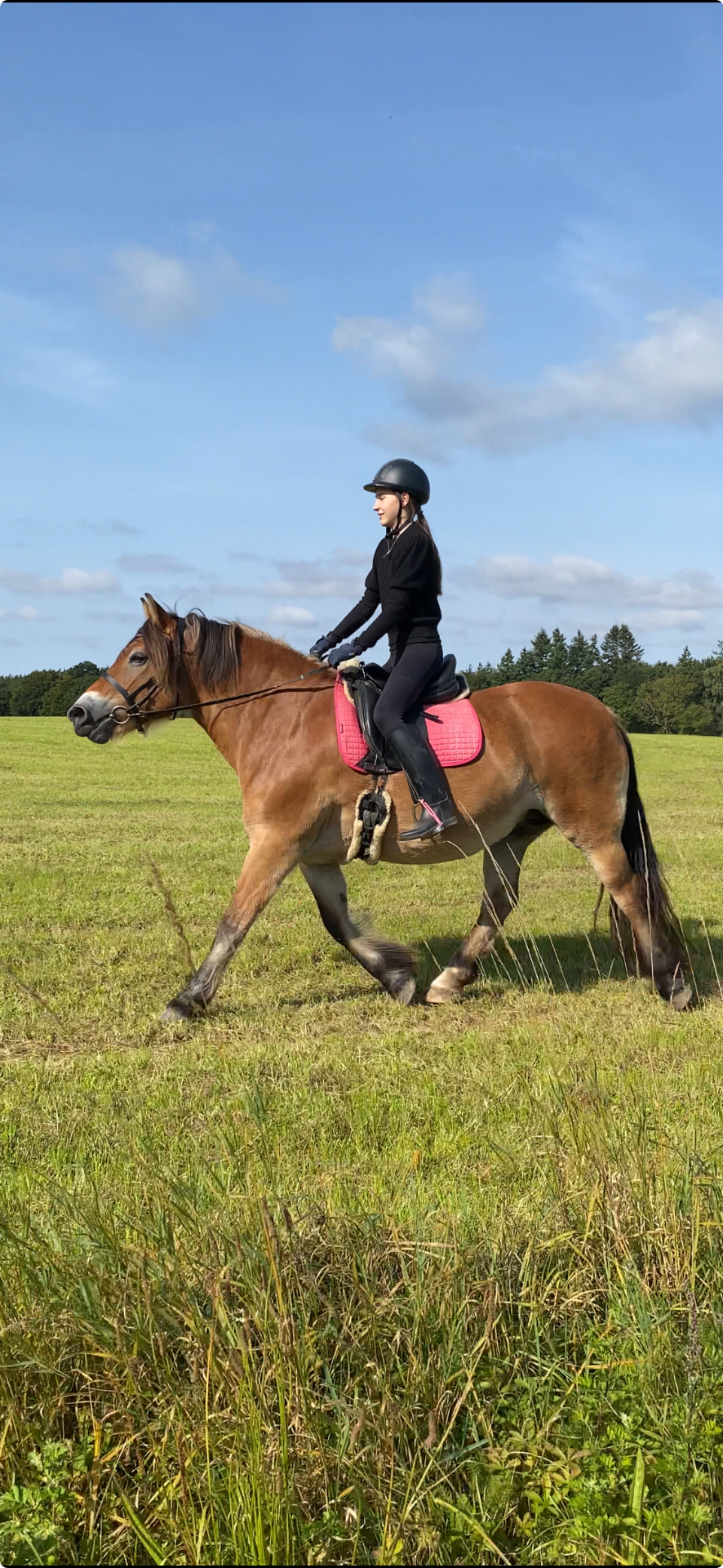 Ellie og Emilie på marken