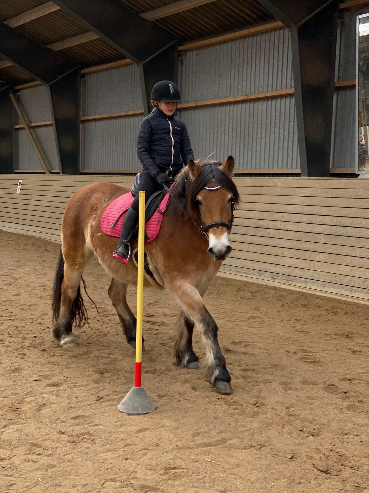 Ellie og Vega til ponygames