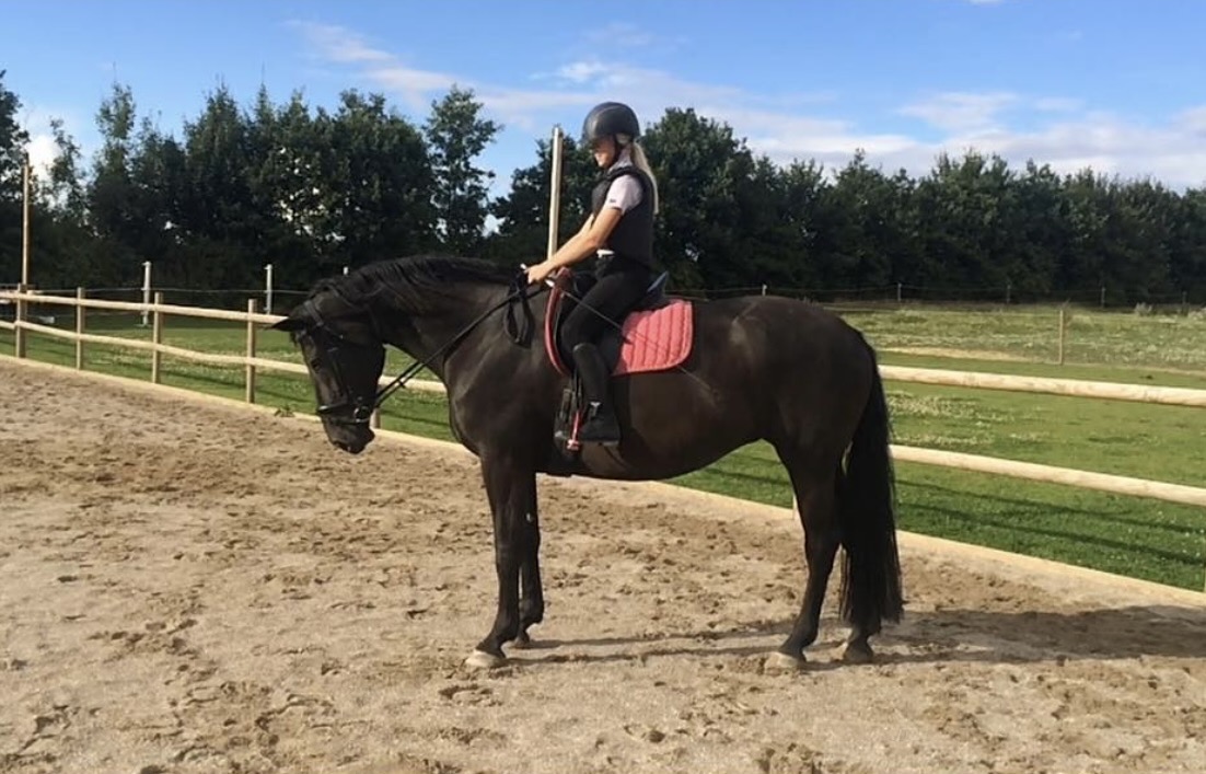 Domille og Nikoline på Karuplund 2016